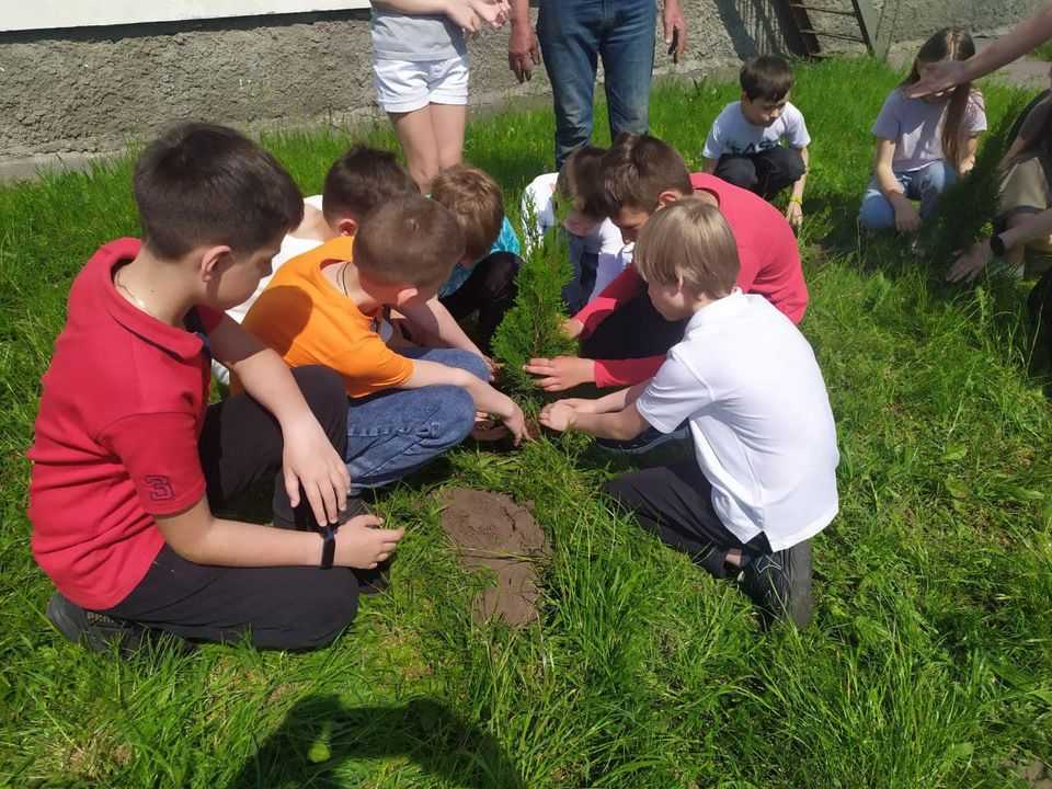 Туєва алея – вияв вдячності та любові