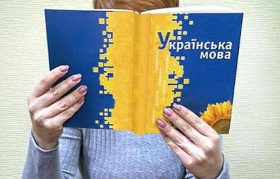 Викладачка та громадська діячка Ольга Криштопа запрошує внутрішньо переміщених осіб на курси для вивчення української мови.