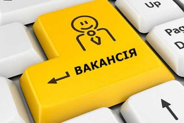 Які види тимчасової зайнятості пропонують безробітним?