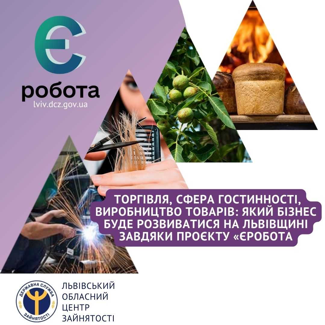 Торгівля, сфера гостинності, виробництво товарів: який бізнес буде розвиватися на Львівщині завдяки проєкту «єРобота»