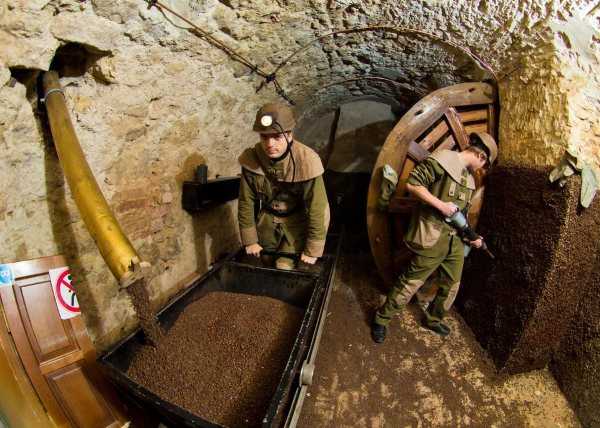 Проект №10 - 