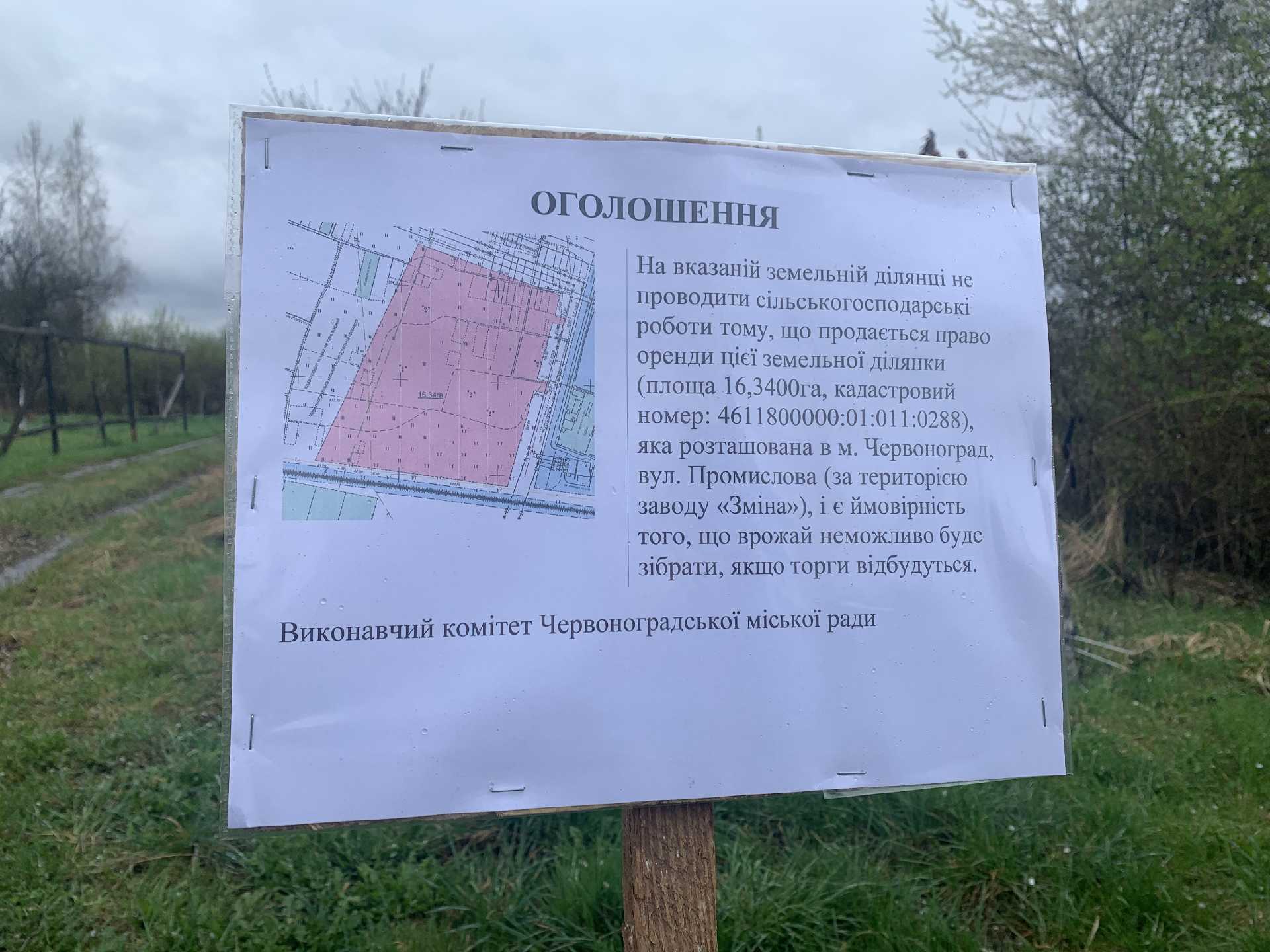 Оголошення 