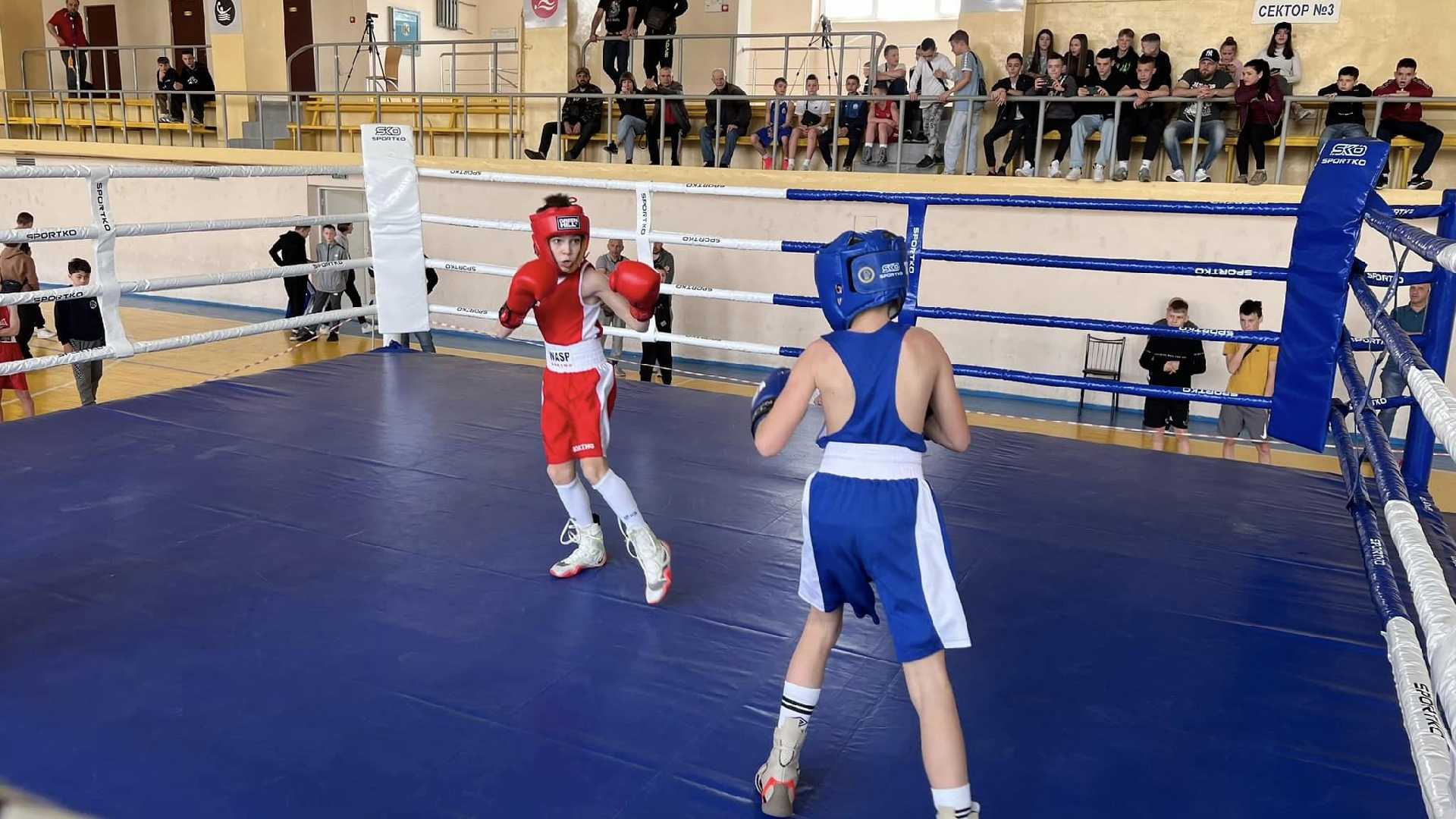 Червоноградські боксери – переможці та призери «Ліги юнацького боксу» Львівщини 