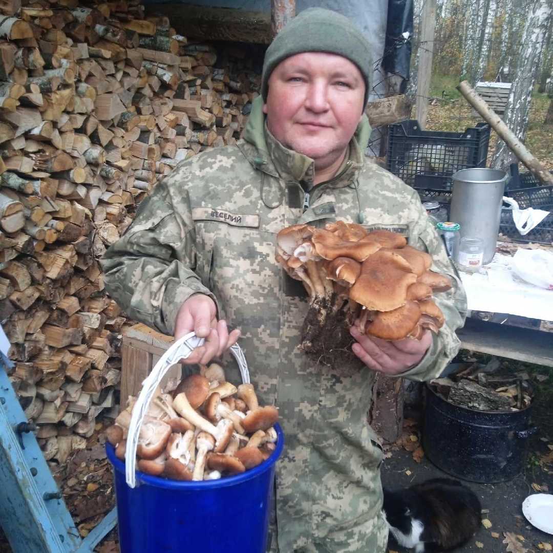 Війна забирає найкращих…