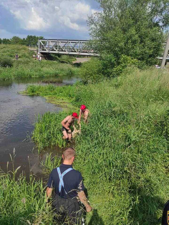 В Солокії втопився 14-літній хлопець