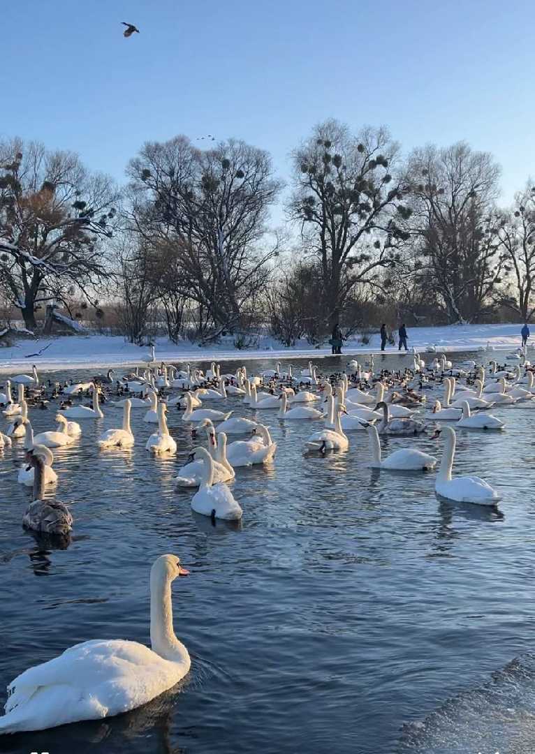 Рятувальники нагадують правила безпеки біля річки Західний Буг