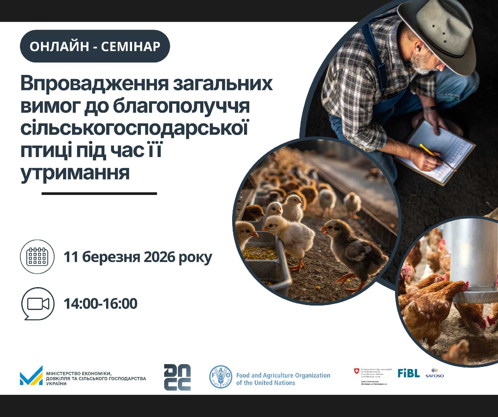 11 березня відбудеться онлайн-семінар щодо благополуччя сільськогосподарської птиці.