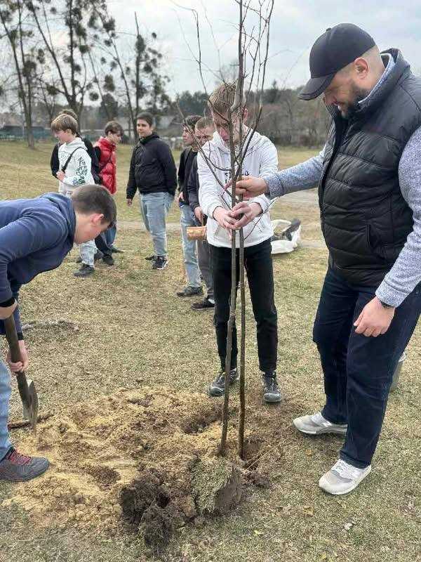 Учні соснівського ліцею разом із ветеранами висадили 13 лип у межах акції «Дерево ветерана»