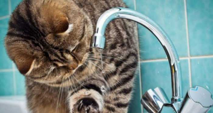 Де 17 квітня не буде води?