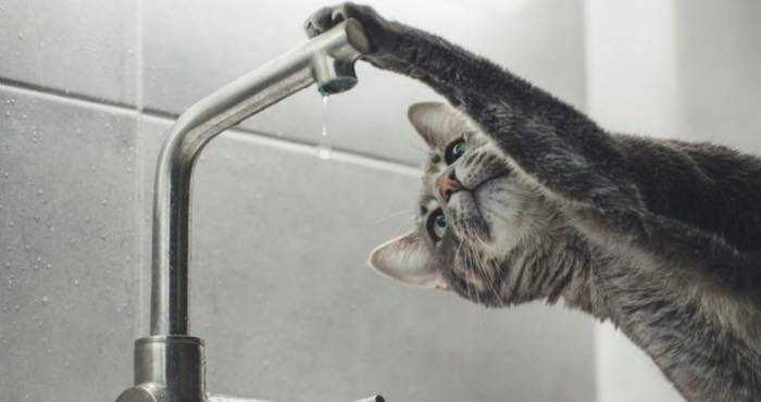 Де 21 квітня не буде води?