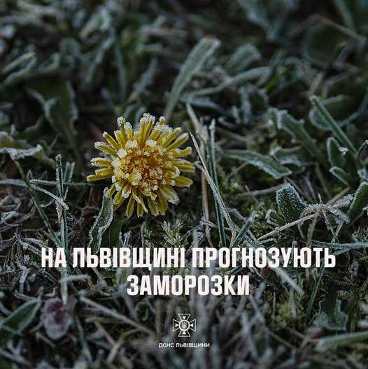 На Львівщині очікуються сильні заморозки