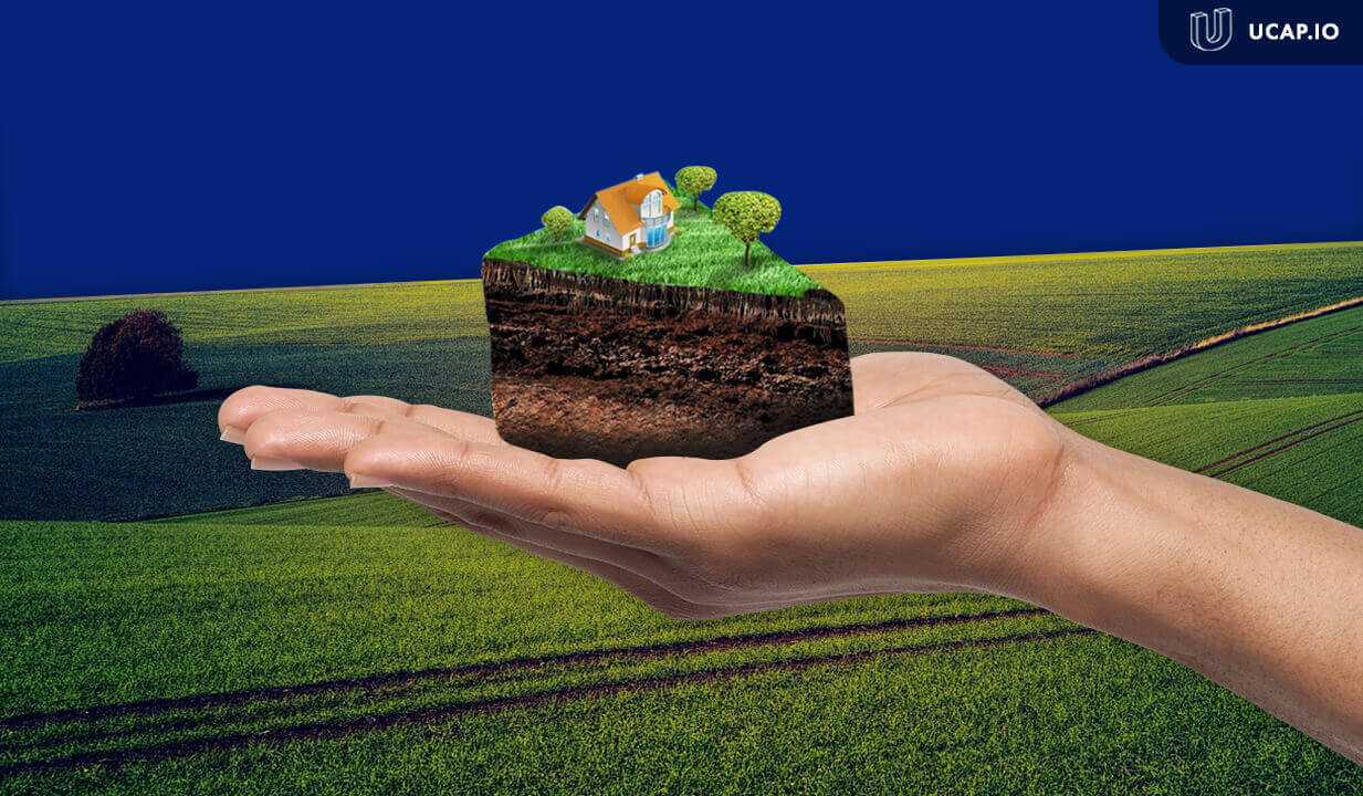 Як продати землю (пай): детальна інструкція для землевласників.