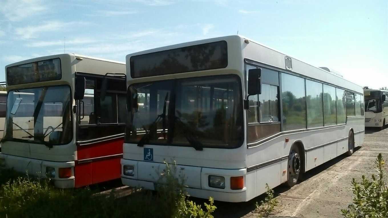 Квитки на автобуси Сокаль-Львів та Червоноград-Львів тепер можна придбати онлайн