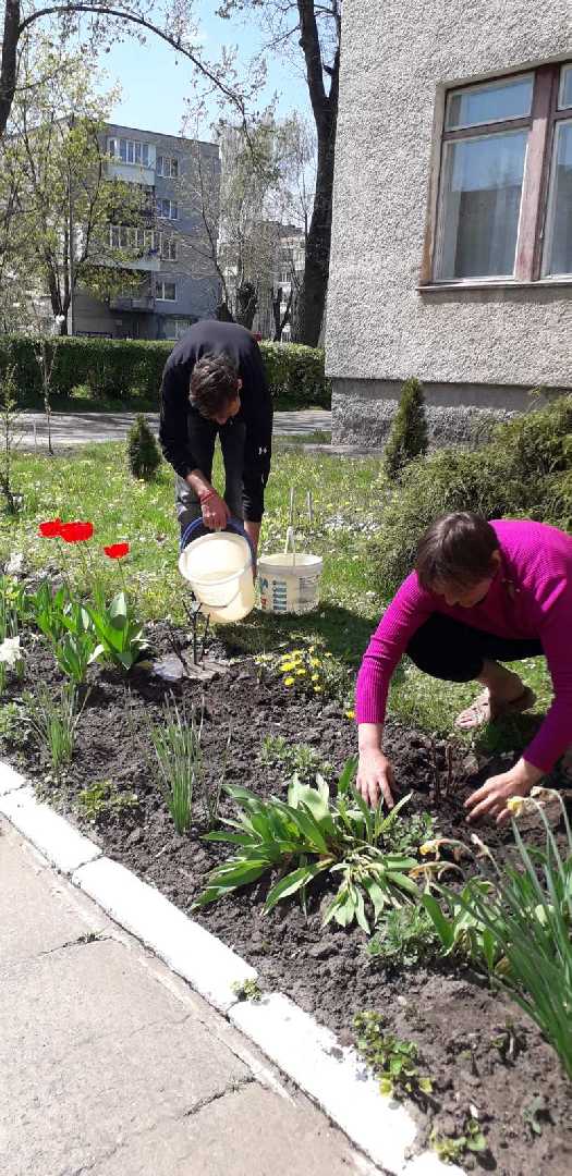 Трояндові алеї єднання