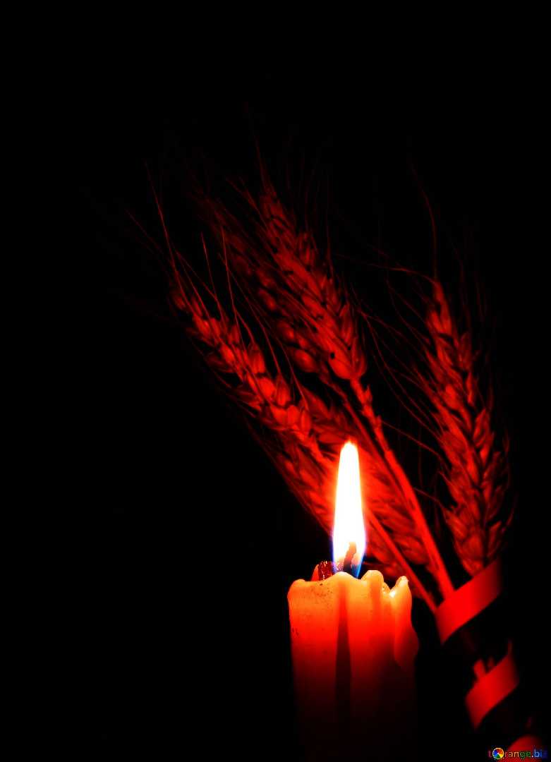 Вони  віддали себе за Україну.  Війна приносить біль, забирає кращих…