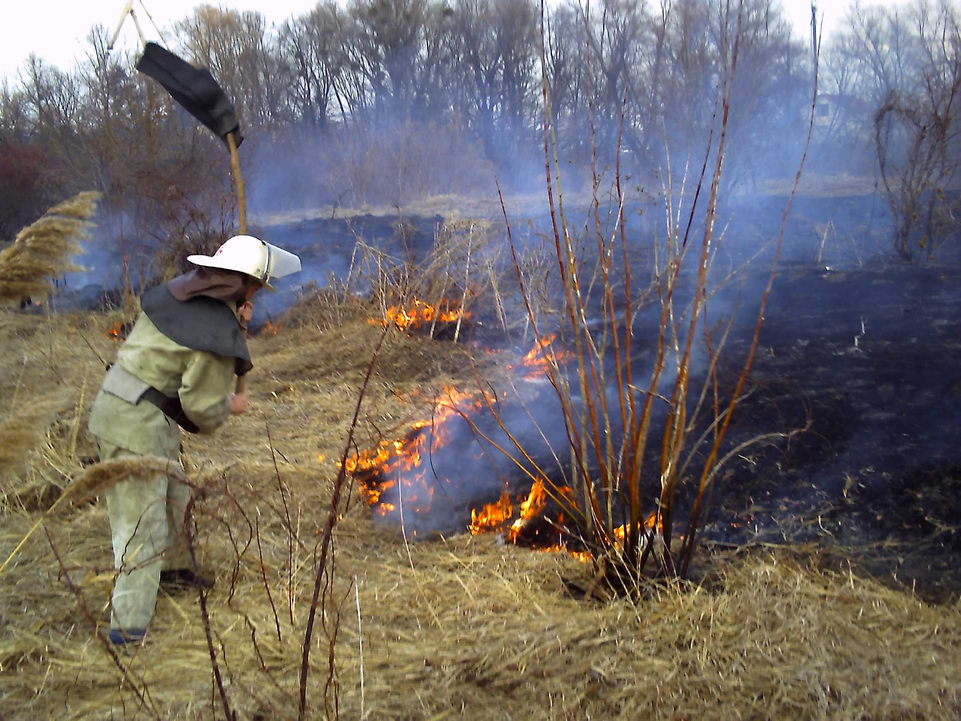 Спалювання сухої трави: загрози і покарання