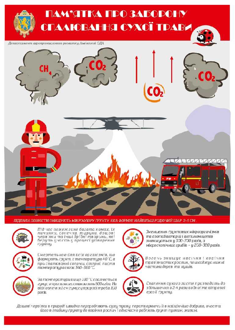 Які загрози від спалювання сухої трави?